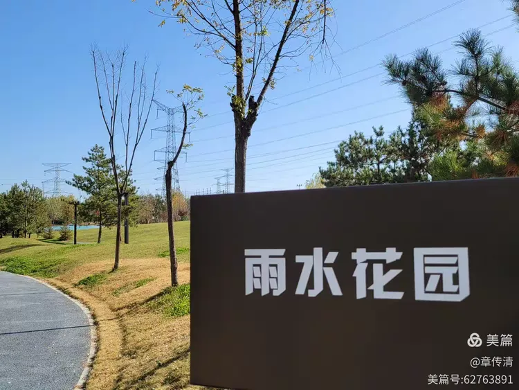 冬游曲江花影公园